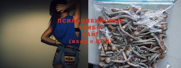 спайс Ельня