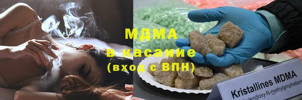 прущие грибы Дмитриев