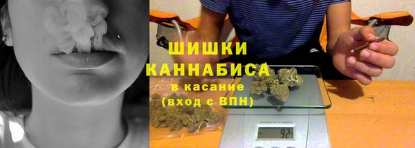 спайс Ельня
