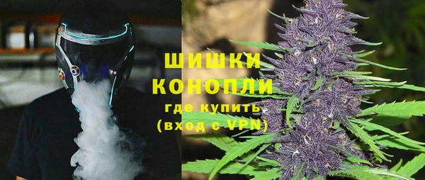 спайс Ельня