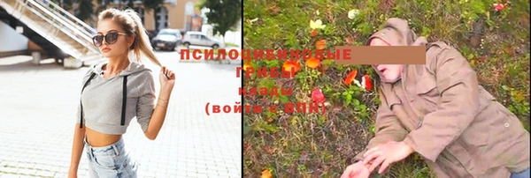 мяу мяу мука Елабуга