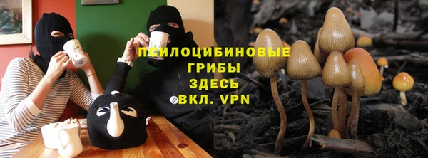 спайс Ельня