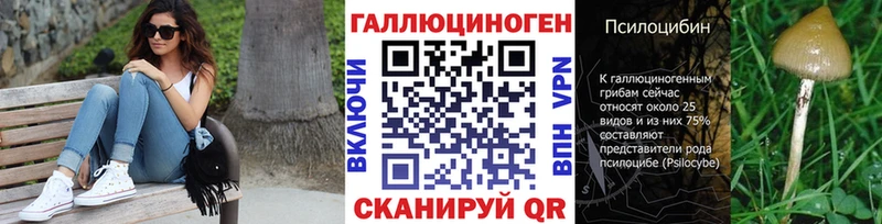 Галлюциногенные грибы GOLDEN TEACHER  MEGA сайт  Каменногорск 